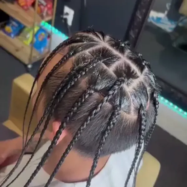 Individual braids parted across the full head on natural hair